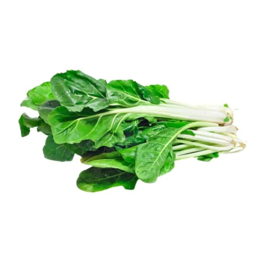 Acelga